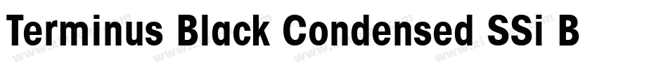 Terminus Black Condensed SSi Bold Condensed字体转换